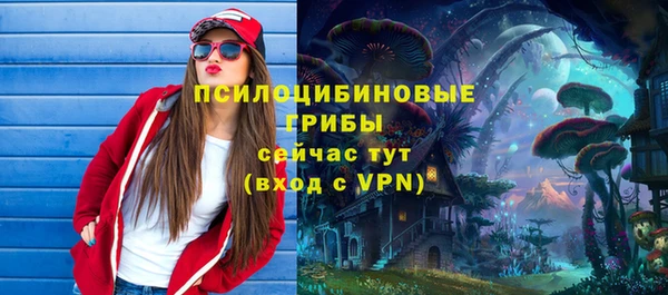 таблы Алексеевка