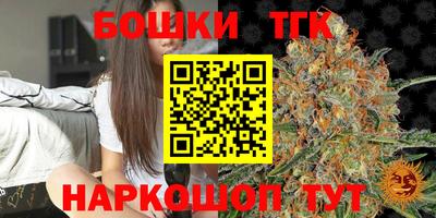 МДПВ Лесосибирск
