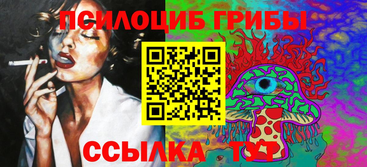 Балашов  Псилоцибиновые грибы Magic Shrooms  Вход с VPN 